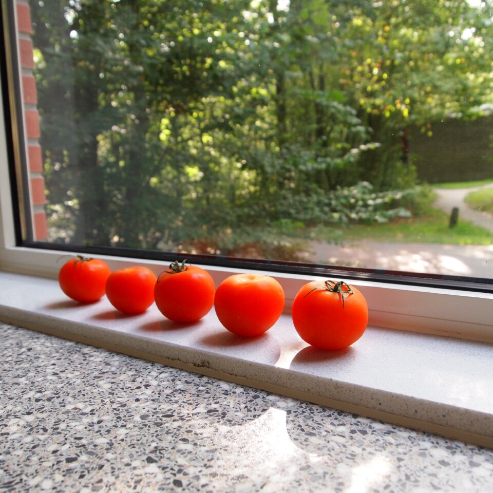 Mature lighting sun