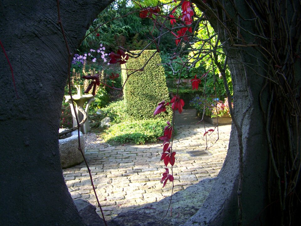 Passage garden secret garden