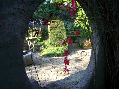 Passage garden secret garden