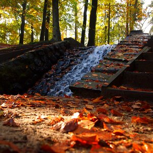 Landscape autumn sun