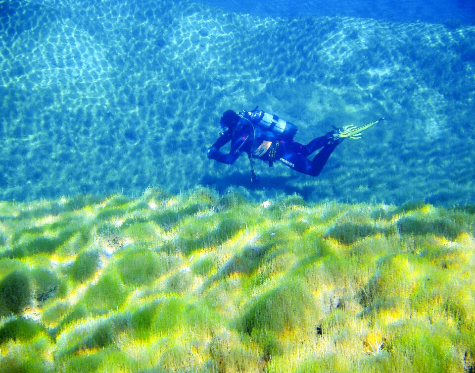Water float scuba divers