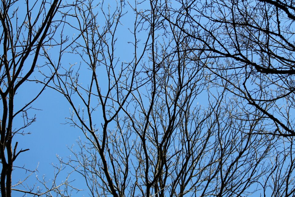 Sky nature aesthetic