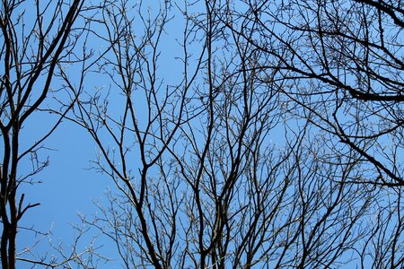 Sky nature aesthetic