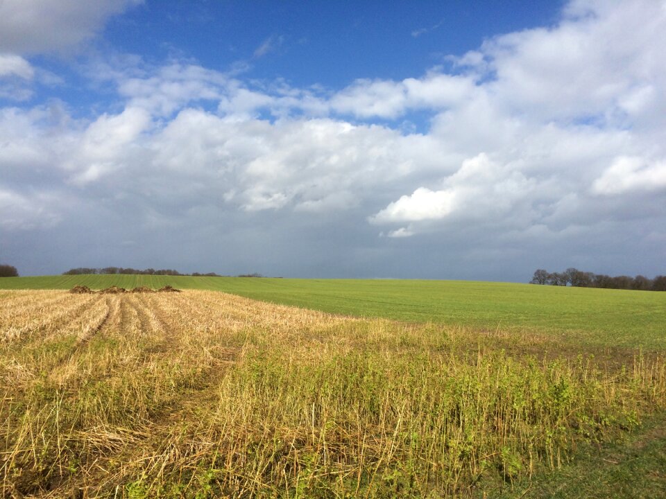 Landscape nature sky