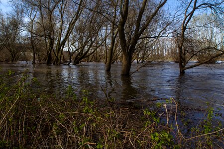 Spring riverside flooded
