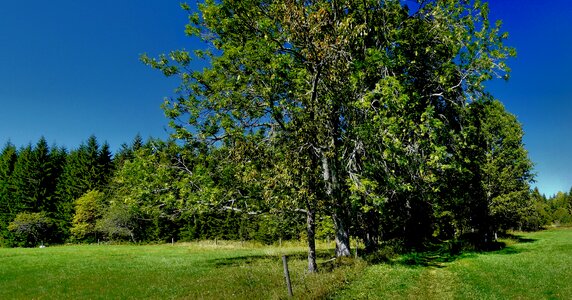Landscape peace tourism