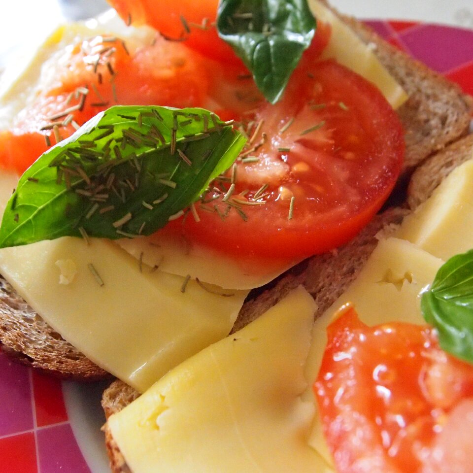 Sandwich food dishes