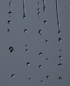 Raindrop drop droplet photo