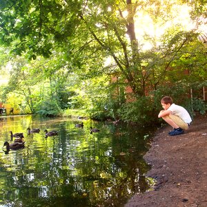 More water ducks