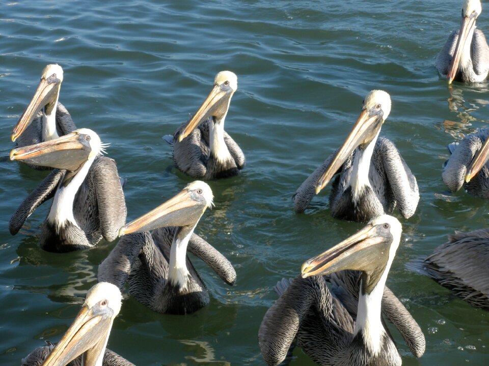 Nature sea