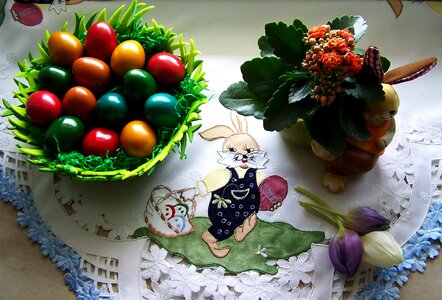 Egg rabbit color