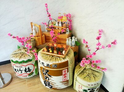 Japan cherry blossom still life