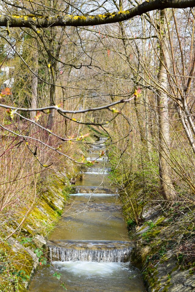 Spring nature water