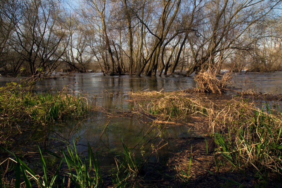 Spring riverside flooded