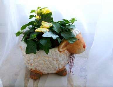 Lamb yellow coral flower amber