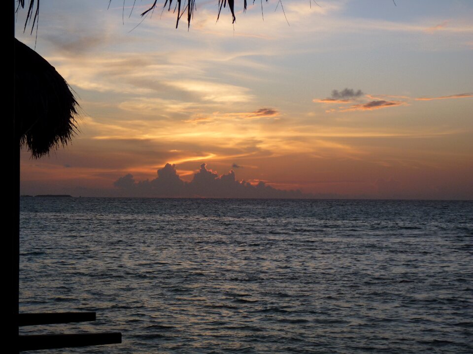 Horizon sunset tropical