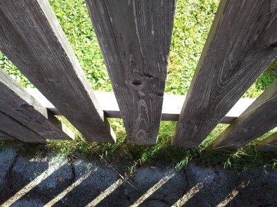 Garden light drop shadow photo