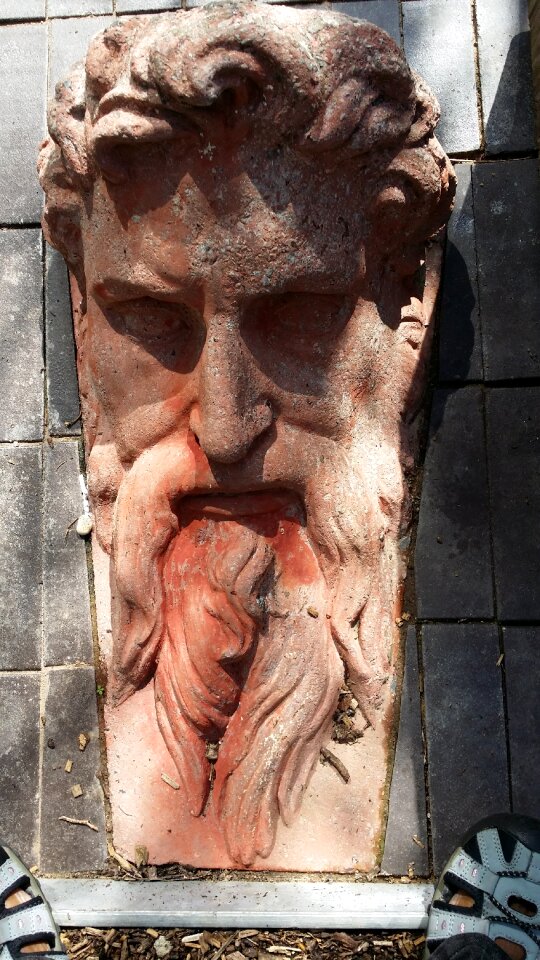 Bust head