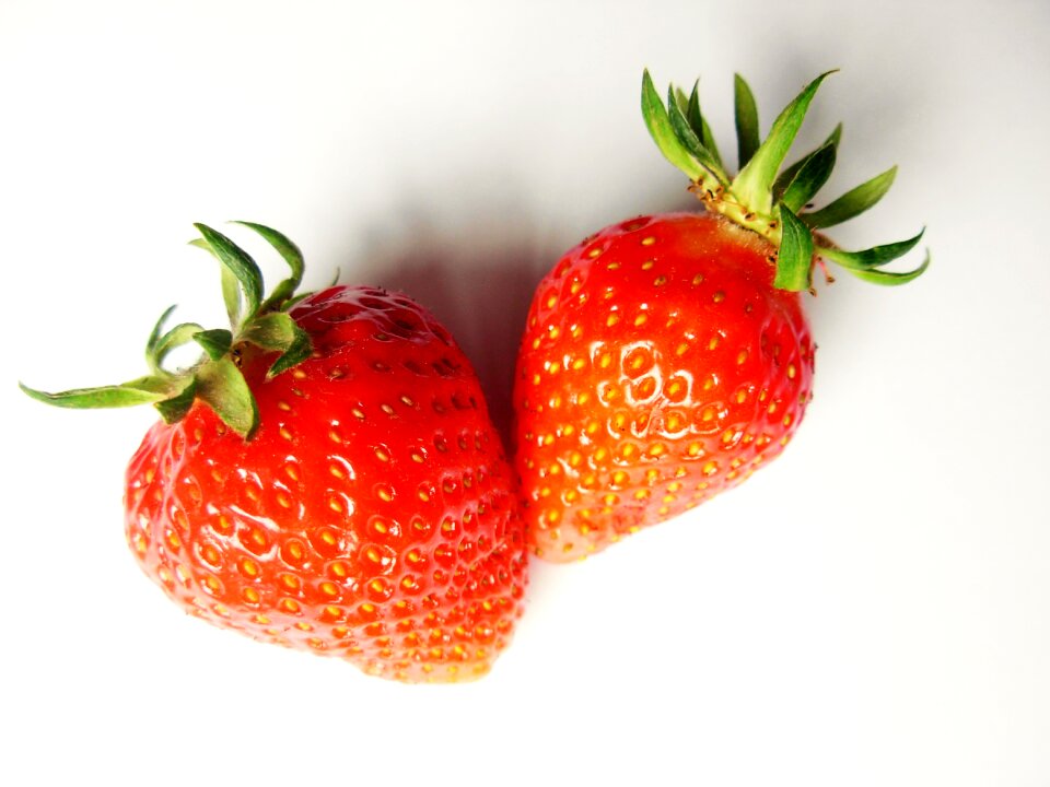Berries red summer