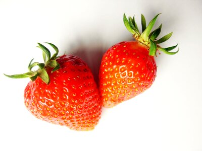 Berries red summer