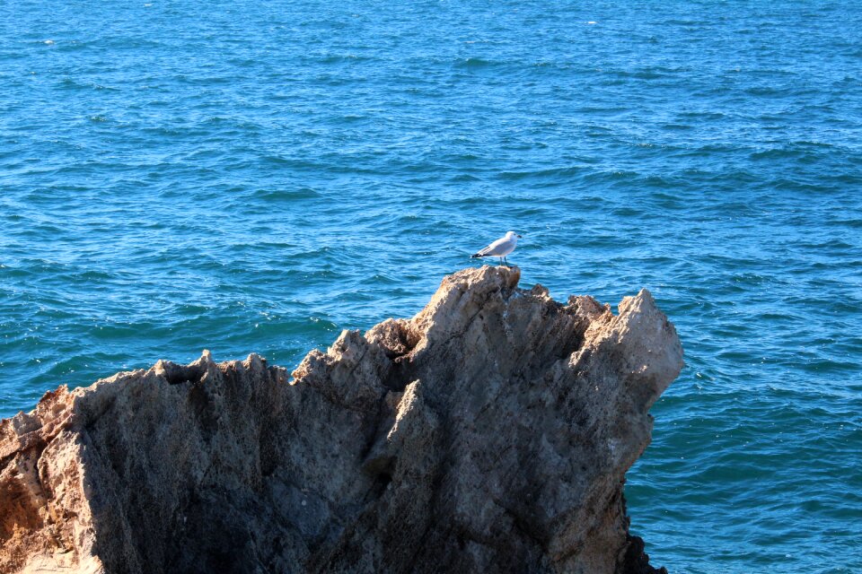 Summer sea coast