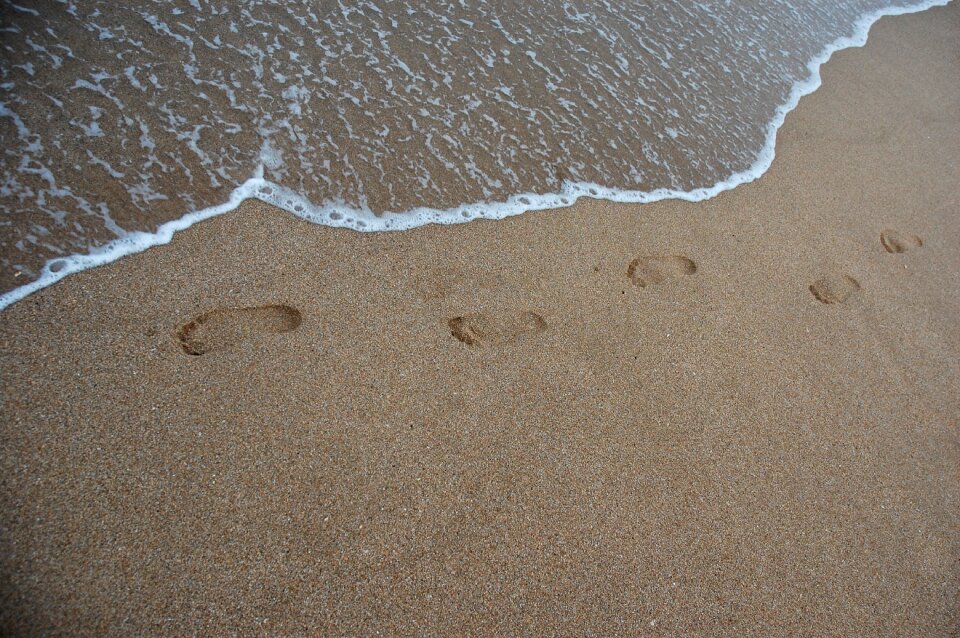 Sea busan sandy beach