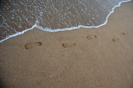 Sea busan sandy beach photo