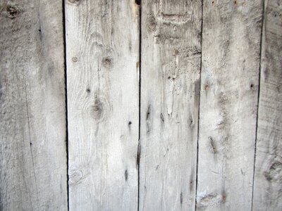 Plank timber hardwood photo