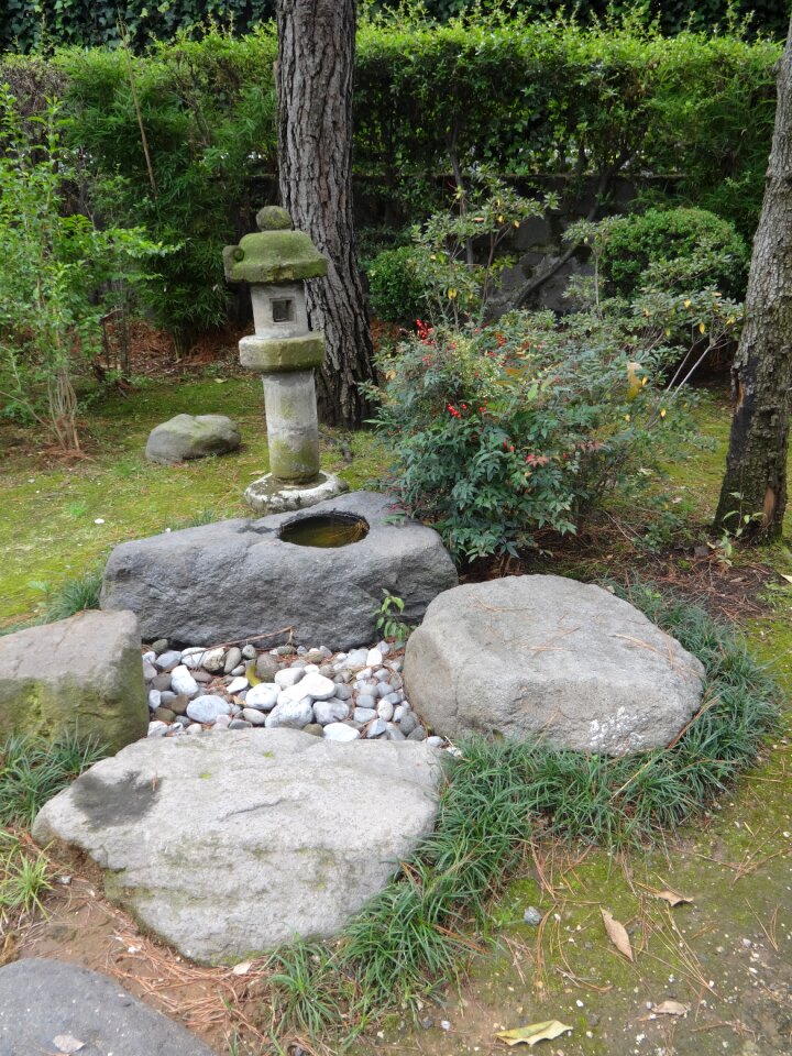 Japanese source rock