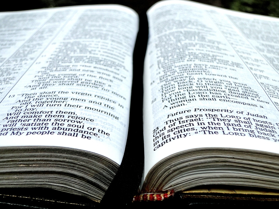 Pages verse scripture