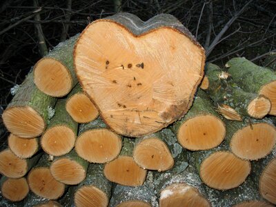 Log holzstapel like