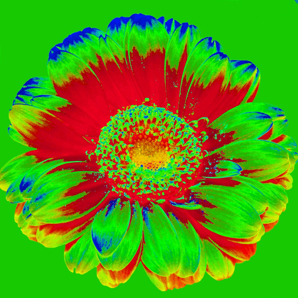 Texture art background