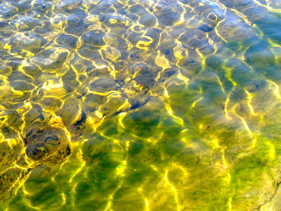 Wallersee clear water reflections