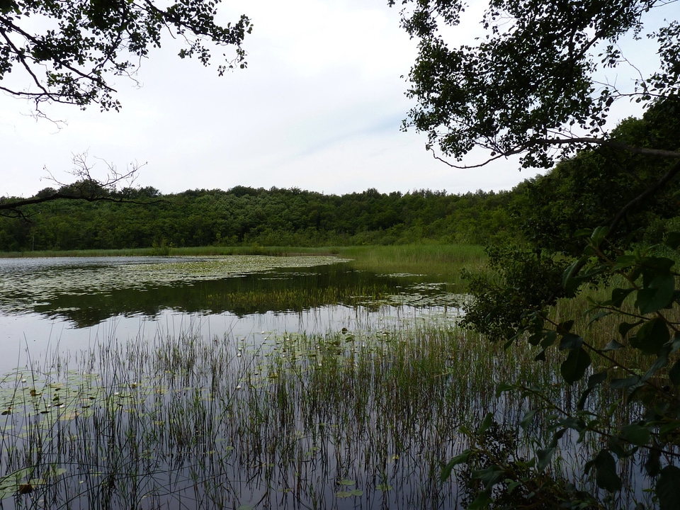 Western pomerania mcpomm mecklenburgische seenplatte