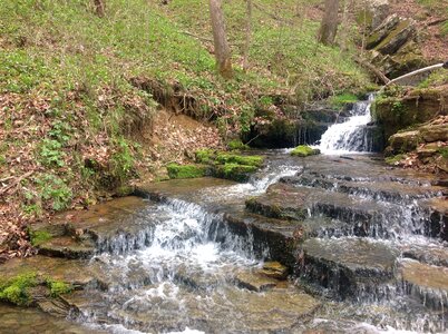 Stream garden environment photo