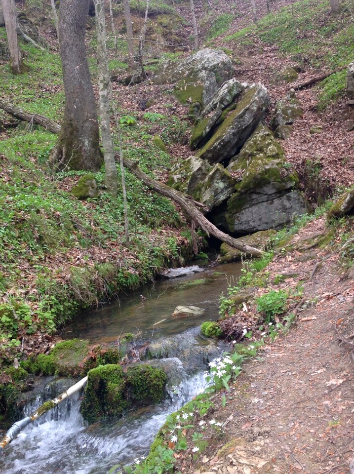Stream garden environment