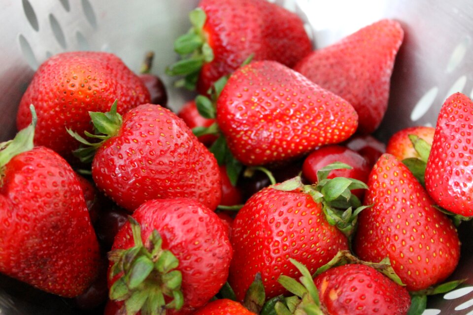 Fruit red food