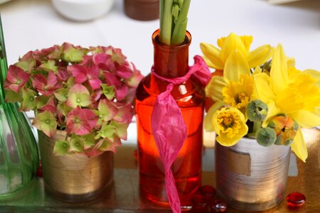 Bottle potty jar photo