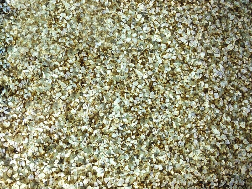 Retro pattern stone