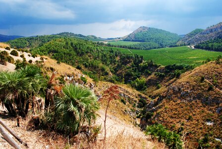 Dahl landscape open space