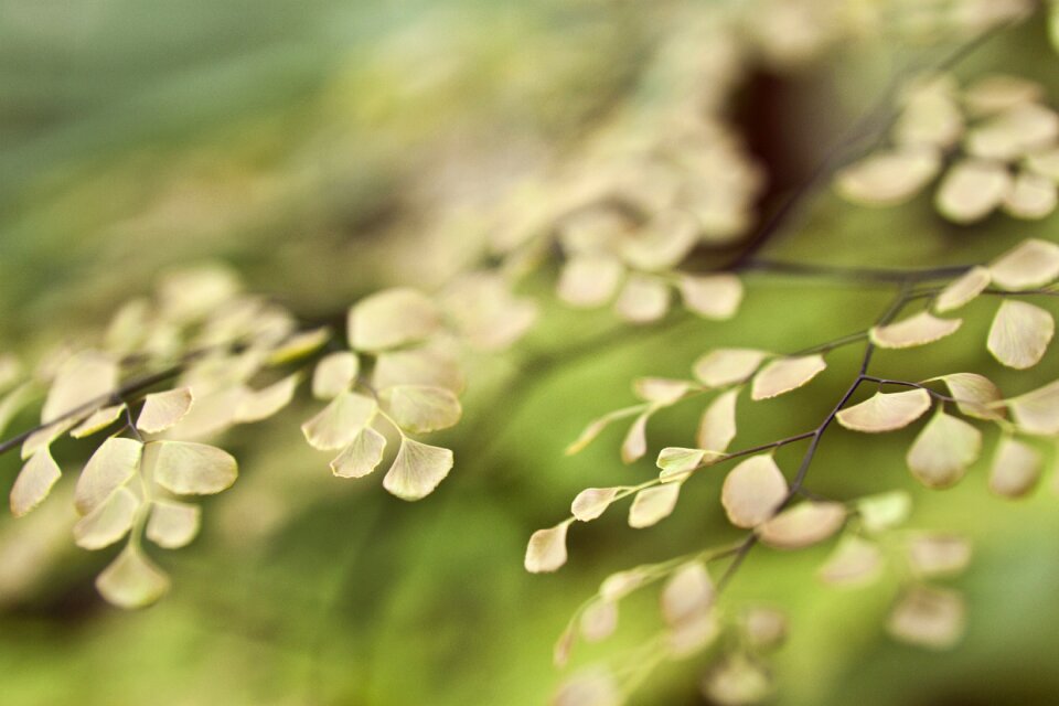 Detail green