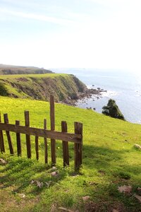 Nature fence coast