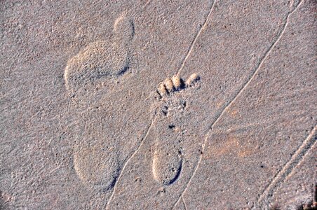 Foot step sand sea photo