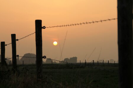 Barbed wire idyll landscape