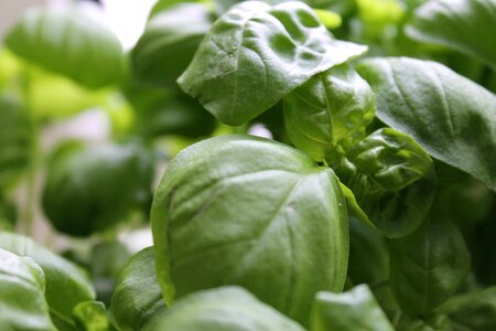Eat spice mediterranean