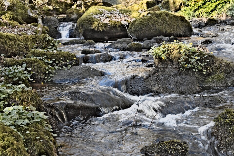 Torrent rocks current
