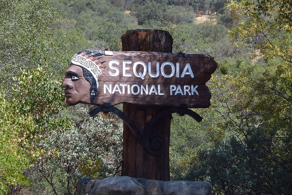 Wooden sequoia national park california