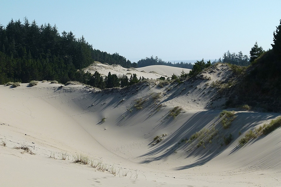 Dry hot landscape