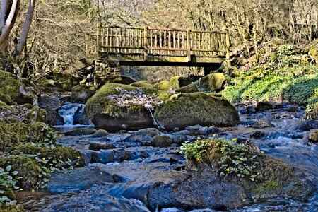 Water courses river torrent photo