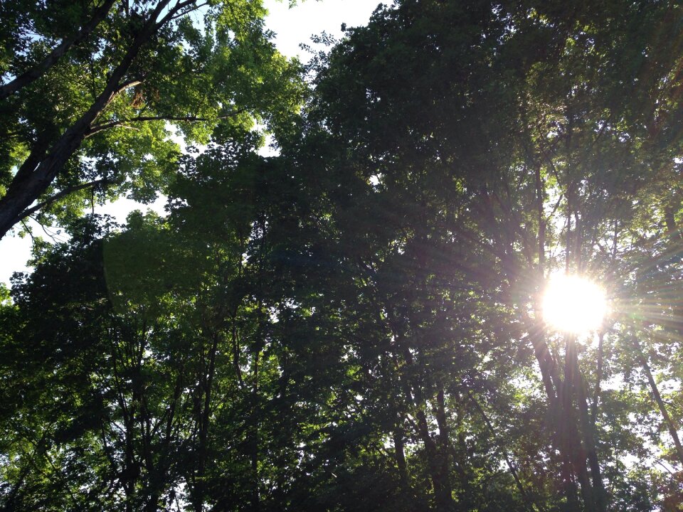 Wellbeing spiritual spirit